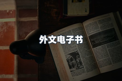 外文电子书